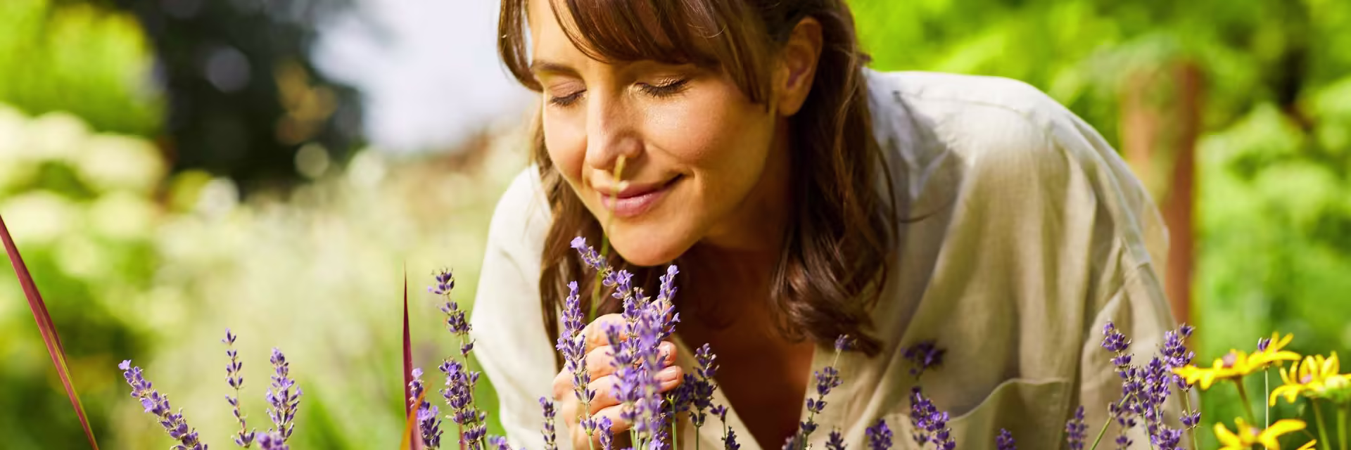 Devant 2 Devant -Magasin De Fleurs scent garden Duftgarten